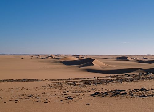 Dune a sud di Cufra Dune a sud di Cufra