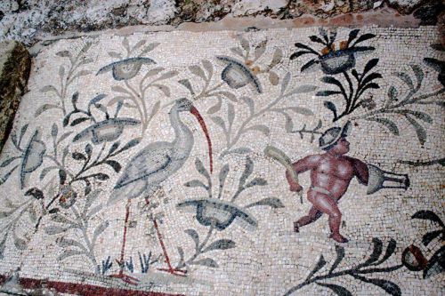 Image #28 Image #28