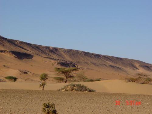 Mauritania_Adrar - 27
