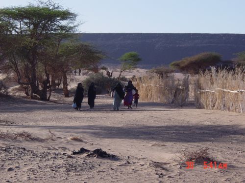 Mauritania_Adrar - 28 Mauritania_Adrar - 28