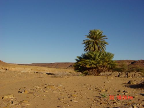 Mauritania_Adrar - 38