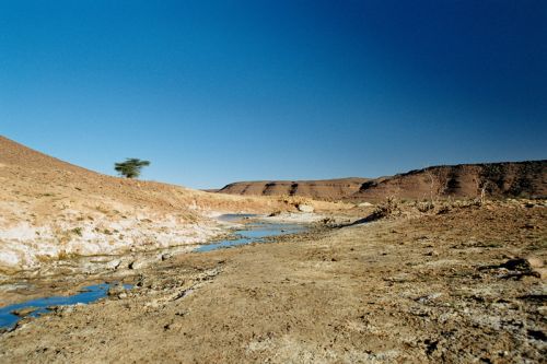 Mauritania_Adrar - 39 Mauritania_Adrar - 39