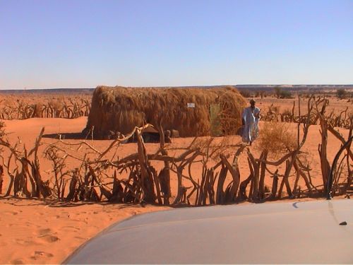 Mauritania_Adrar - 44 Mauritania_Adrar - 44