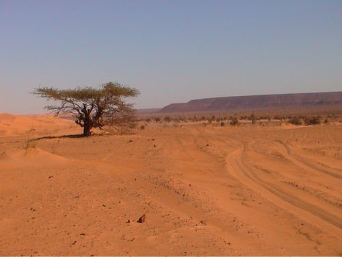 Mauritania_Adrar - 48 Mauritania_Adrar - 48
