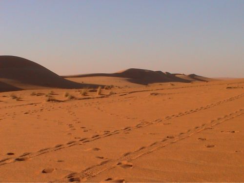 Mauritania_Tagant - 18