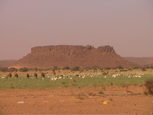 Mauritania_HodEchChargui - 20