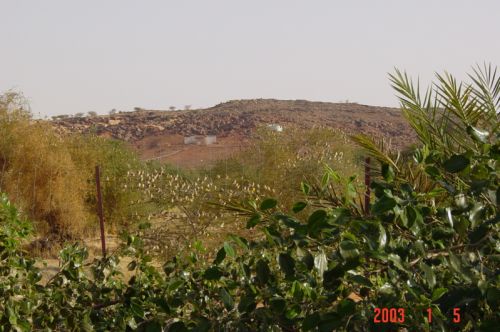 Mauritania_HodhElGharbi - 01