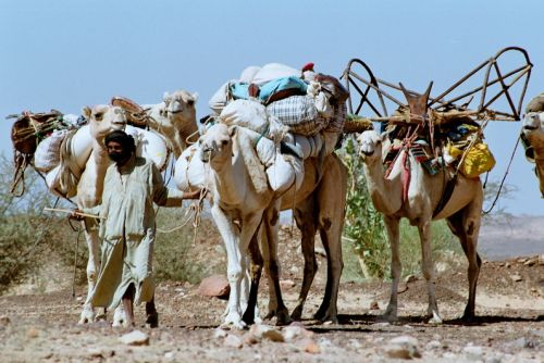 Mauritania_HodhElGharbi - 12