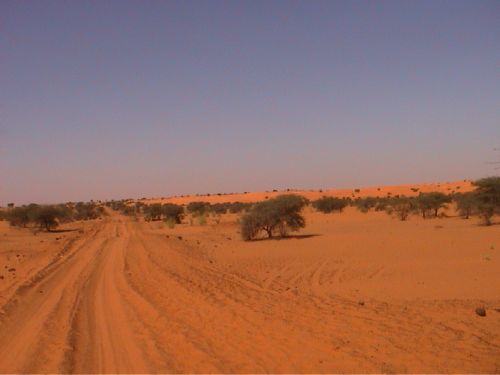 Mauritania_HodhElGharbi - 20