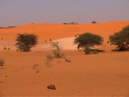 Mauritania_HodhElGharbi - 21