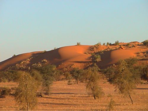 Mauritania_Tagant 2 - 08